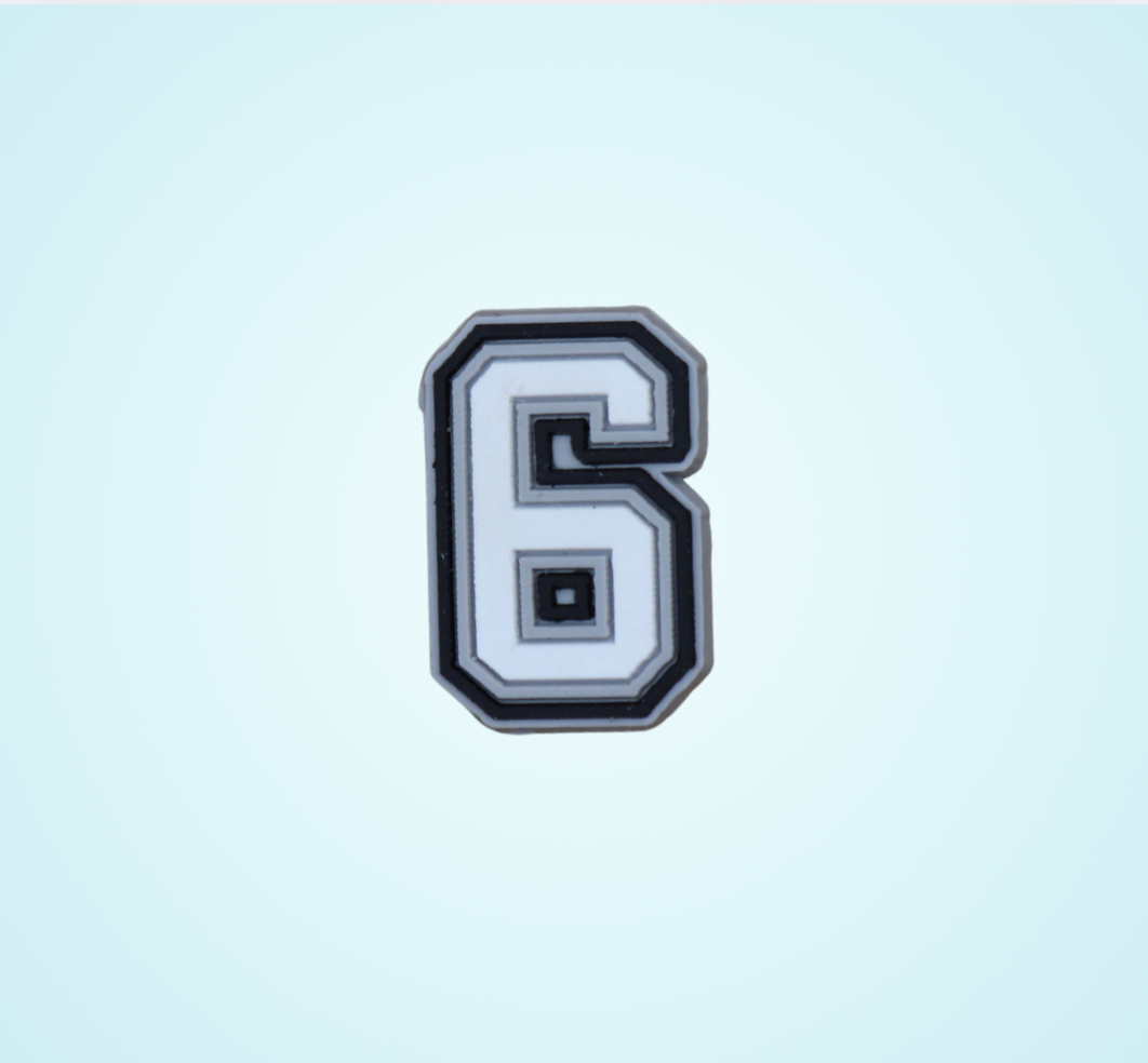6 (Number)
